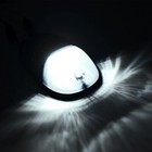 Bild 9 von 9