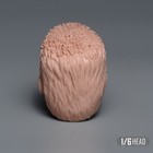 Foto 6 di 7