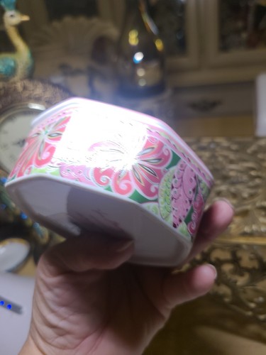 Vera Bradley im Ruhestand bedeckt Geschirr Zahnrad rosa Design - Bild 10 von 14