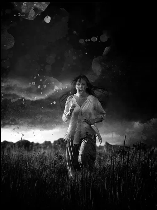 The Dog Stars by Peter Heller  Double SIGNED Lividian LIMITED EDITION of 750 - Image 4 of 4