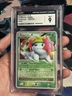 Shaymin Lv X