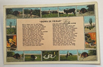 Vintage Postcard c1929 ~ Down In Texas Poem, Longhorn, Armadillo ~Texas TX