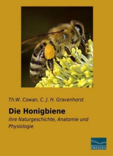 Thumbnail - Die Honigbiene Ihre Naturgeschichte, Anatomie Und Physiologie 3115