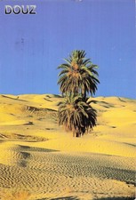 TUNISIA SWEET SAHARIC DESERT