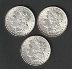 Morgan Silver Dollar Lot (3) BU/UNC Blast White Mint Luster 90% Silver SKU167