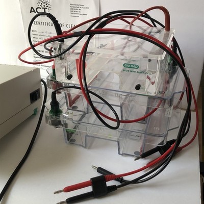 Bio-Rad 3 Wide Mini-sub Cells GT & PowerPac 3000 Electrophoresis Power Supply