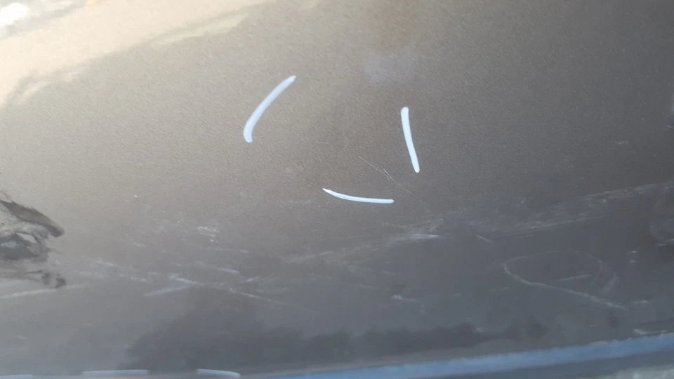 97-2003 BMW SERIE 5 528i 530i 540i PANEL CARCASA PUERTA CONDUCTOR TRASERO IZQUIERDO OEM DLR35 Foto 4 de 4