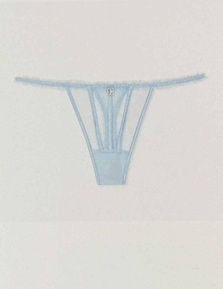 Victoria's Secret Dream Angels Glitter Tulle Thong Panty Rhinestone Mesh Blue XL - Image 2 of 4