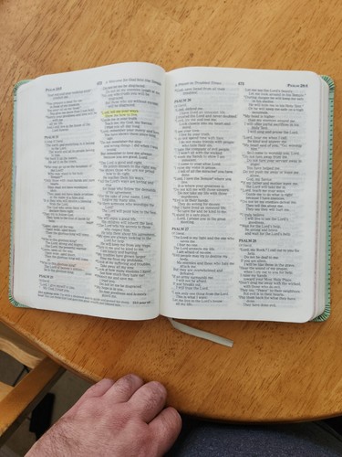 Thomas Nelson ICB light green + pink Leathersoft Cover Children's Bible - Imagen 16 de 24