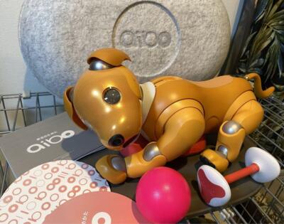 aibo 「ERS-1000」キャラメルエディション 付属品あり SONY aibo キャラメル エディション ERS-1000 [キャラメル
