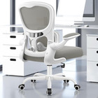 Light Gray Ergonomic Office Chair with Adjustable Lumbar Support & Flip-Up Armre