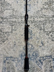 Daiwa Steez Ags Rod | eBay