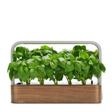 Refurbished edn Hydroponic Indoor Garden Kit - Grow Herbs & Plants