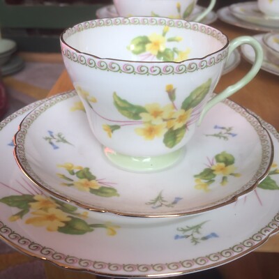 RARE Shelley Yellow Primrose Pattern R13524 ( 6 Stunning & Rare