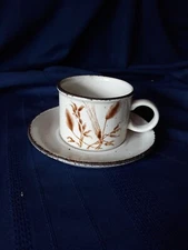Wedgwood,  WiLD  OATS. Midwinter stoneware group  Cup & Saucer