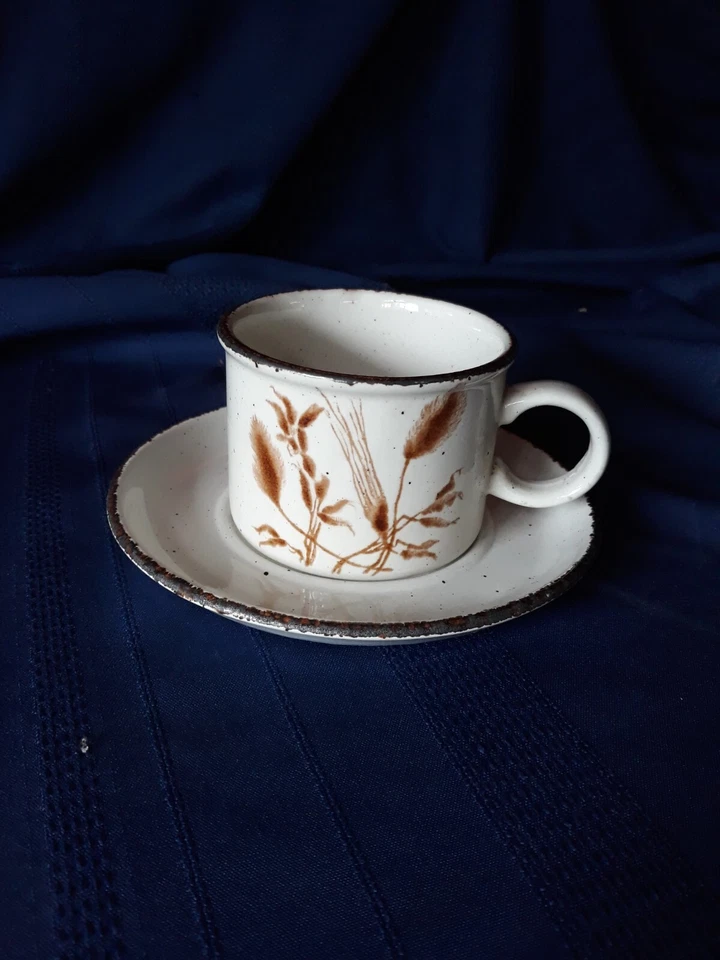 Wedgwood, WiLD OATS. Midwinter stoneware group Cup & Saucer