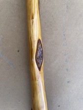 Diamond Willow Cane, 36" Walking Stick, All Natural Wood With Glossy Finish Rare