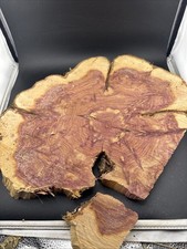 Deep Red Cedar Wood Turning Blank Cookie Live Edge Base 15  X 14  X 2   304  
