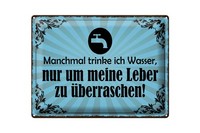 Blechschild Spruch 30X40 Cm Manchmal Trinke Ich Wasser Deko Schild