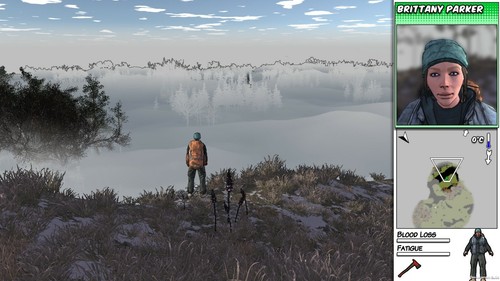 Survivalist: Invisible Strain - Region Free Steam PC Key (NO CD/DVD) - Picture 6 of 8