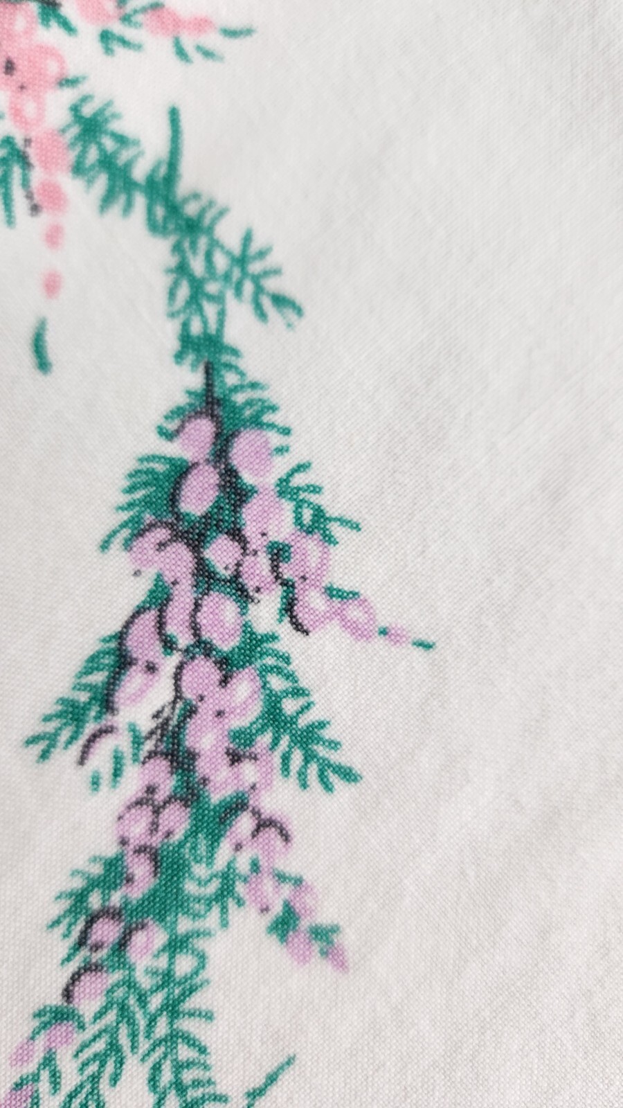 Picture 6 of 9