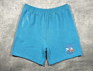 Vintage Charlotte Hornets Shorts | eBay