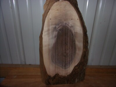 1 PC RUSTIC WALNUT SLAB AIR DRIED 4 YR LUMBER 1 1/4''  798A CLOCK TAXIDERMY FLAT