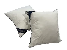 Siluvia 20"x20" Interior Throw Pillow Inserts Set of 2