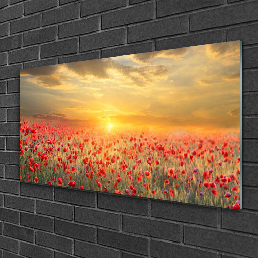 Tableau sur verre 100x50 cm prairie de pavots rouge pour decoration murale