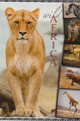 ZOO  Wildlife  AFRICA   COLLAGE  Tier Postkarte  *  LÖWE  POSTCARD