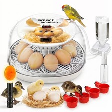 Incubadora De 12 Huevos De Gallina Codorniz Pajaritos y Pavo Con Giro Automatica