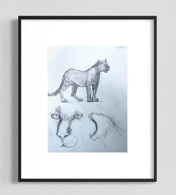 ORIGINAL ANIMAL DRAWING, PANTHER STUDY, HAND DRAWN PENCIL on Paper 12X9 ART