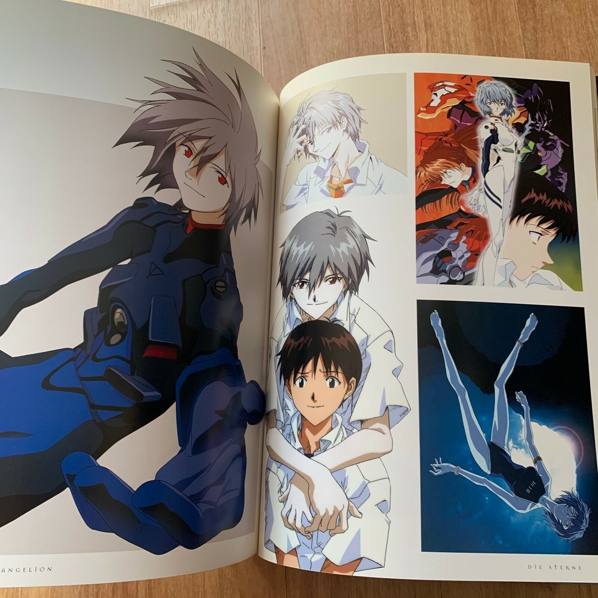 Evangelion Illustration Book Art work DIE STERNE Ver.2.0 Rei