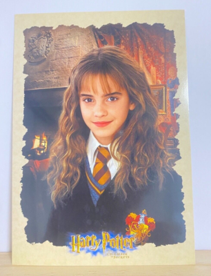 Hermione Granger Harry Potter and the Chamber of Secret Limited
