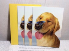 RSVP BIRTHDAY GREETING CARD New w/Envelopes LOT OF 3 CARDS Lots Happy Moments
