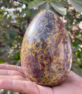 125MM Huge Lovely Fossil Coral Jasper Crystal Gemstone Healing Metaphysical Egg.
