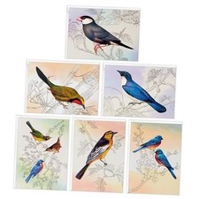 Bird Note Card Assortment 24 Blank Cards with Envelopes Bluebird, Birds