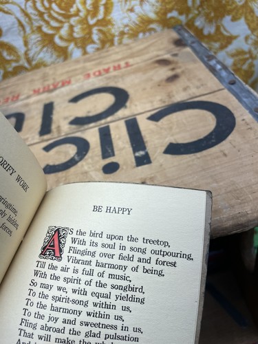 Symbols Of The Law Of The Fire Of The Campfire Girls Book Big Smoke Rare - Picture 7 of 9