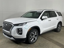 Driver Left Air Bag Driver Roof Fits 20-24 PALISADE 2755837