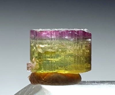 Naturel Top Quality Pinkcap Bi-Color Terminated Tourmaline Crystal From Afg