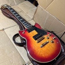 SG1000 Birdseye Ready to Use Used with Original Case and Parts