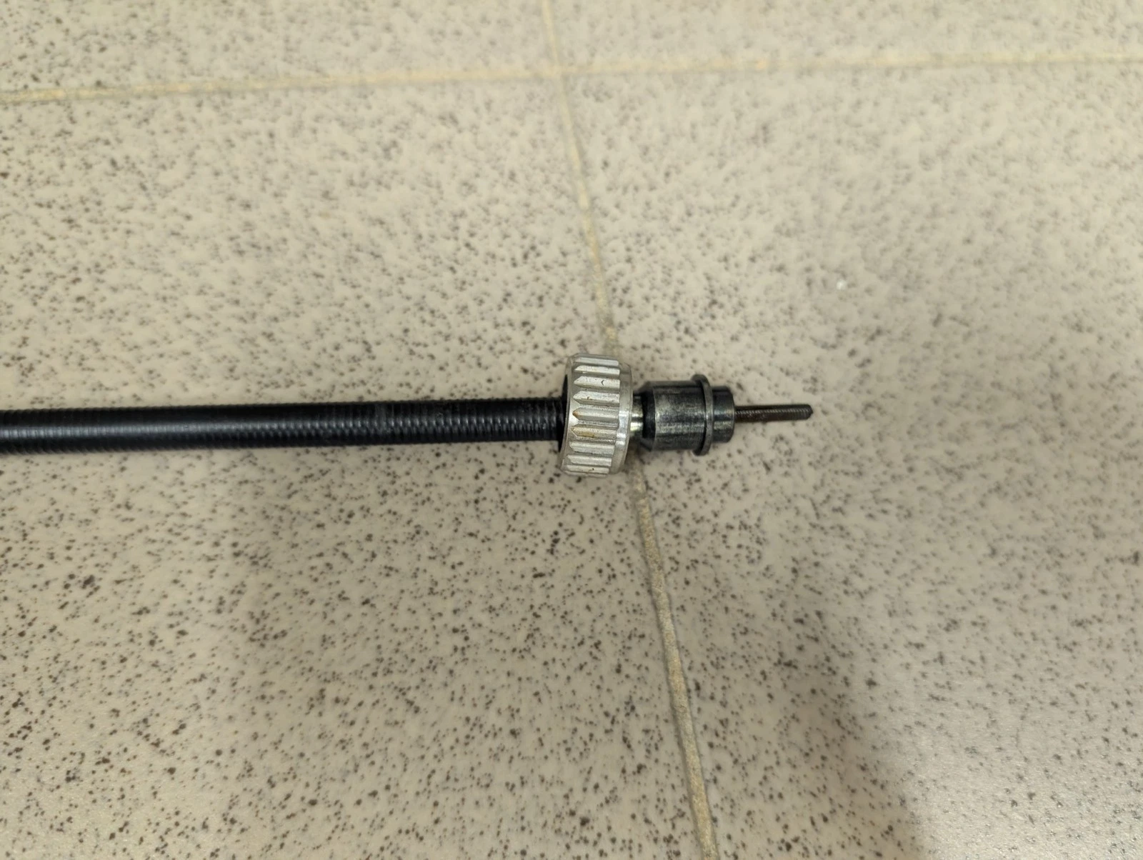 DESCRIZIONE DELL'IMMAGINE