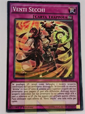 Venti Secchi / Dried Winds  Super Rare  CORE-IT075  1st ED. Italiano Good