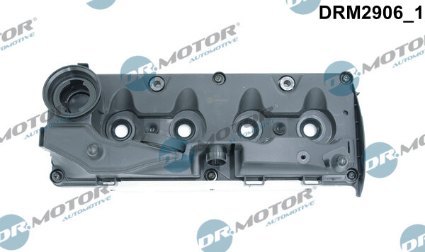 DRM2906 Dr.Motor Automotive Zylinderkopfhaube FüR Alpina,Bmw-image