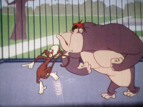 Bugs Bunny - Hurdy Gurdy Hare, IB Technicolor, 1948, 16mm, 400ft Reel - Picture 3 of 6