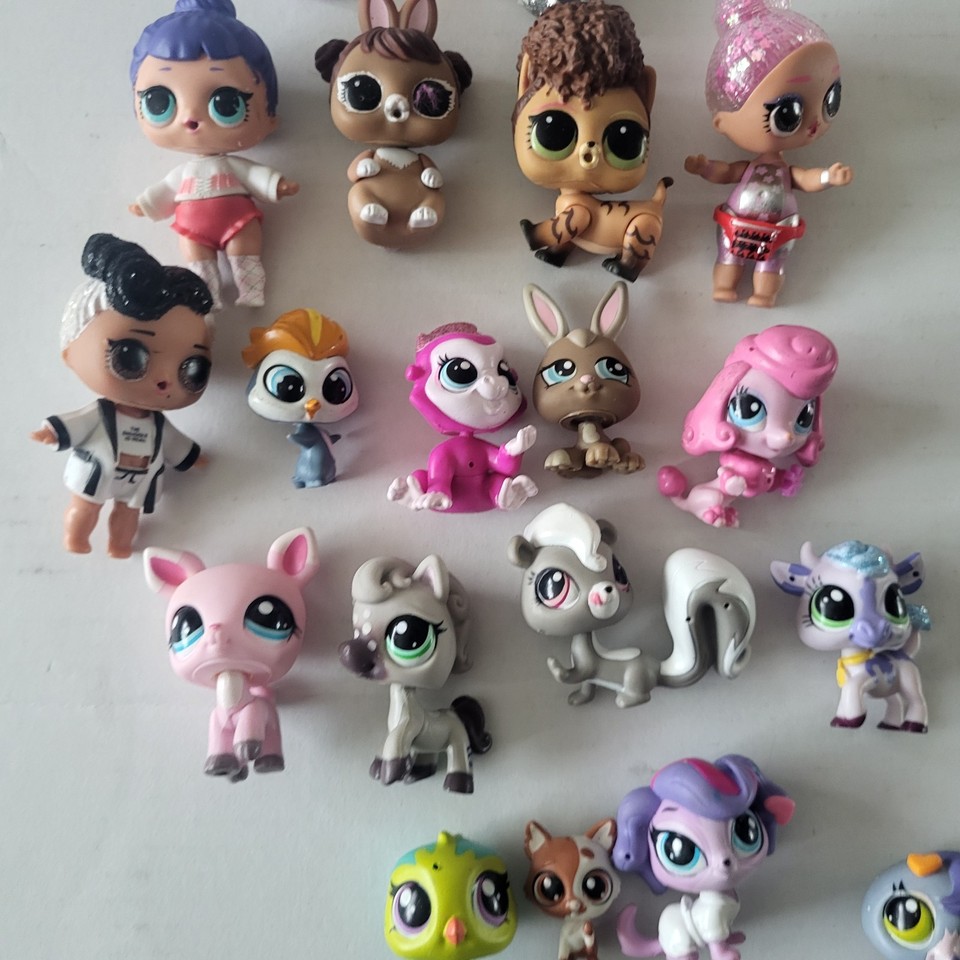 LOL Surprise Dolls & Pets Lot – 18 Figures, Animals, Mixed Series, Used ...