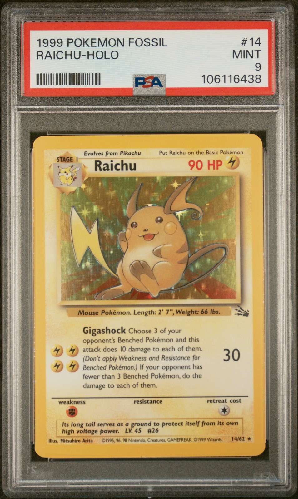 Raichu #14