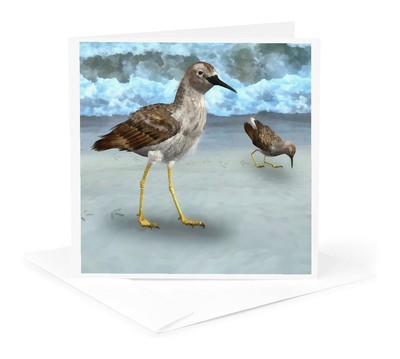 3dRose, Least Sandpiper birds on a beach, Greeting Card