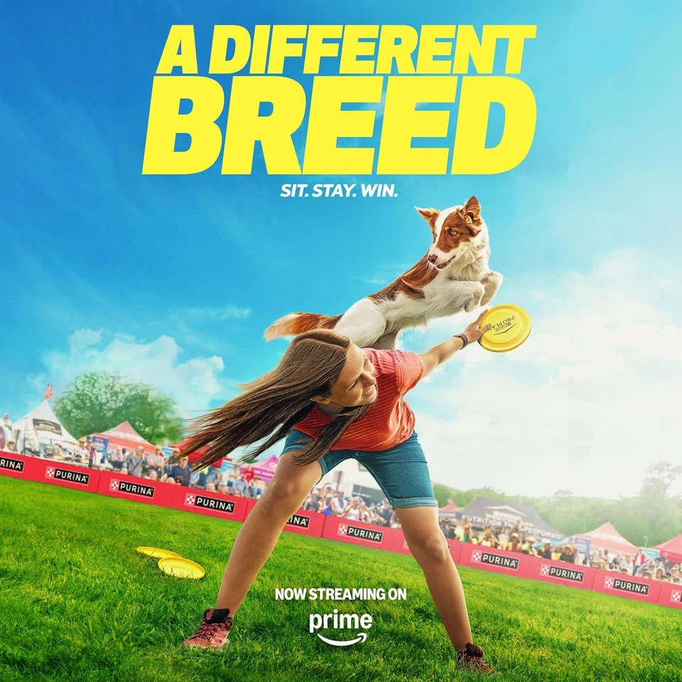 Purina Pro Plan Sensitive Skin and Stomach Dog Food 34 Pound (Pack of 1)  - Image 2 of 4