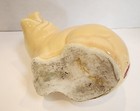 Vintage Pig Planter Ceramic Cream Color 1940’s-1950’s 3.75" H 4.5" L — photo 4